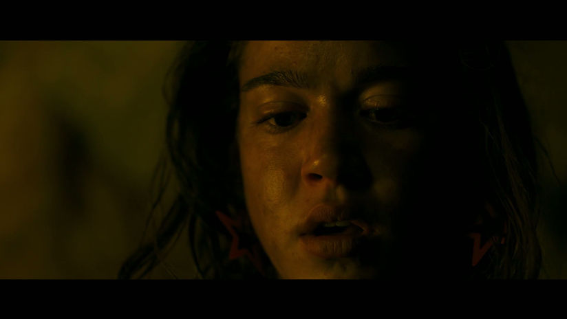 SHUDDER "REVENGE" Spot